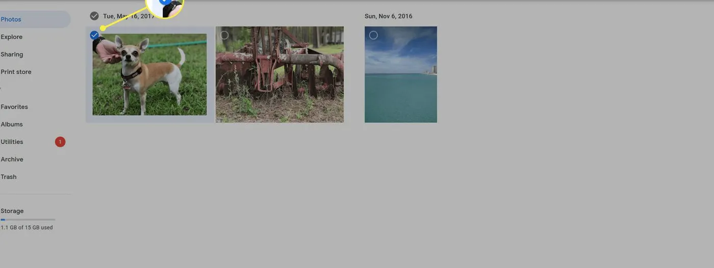 Where to select an individual picture to export in Google Photos