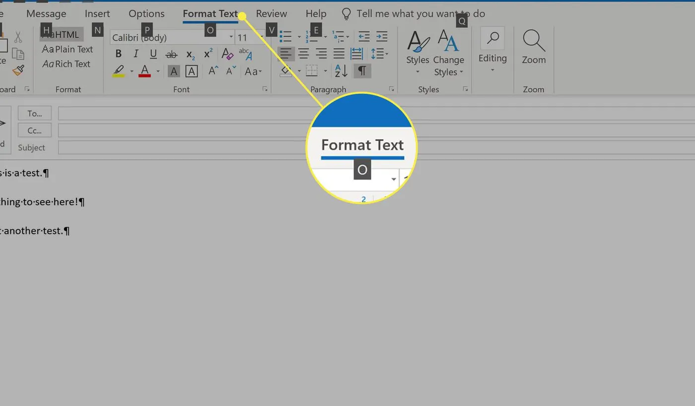 The Format Text heading in Outlook