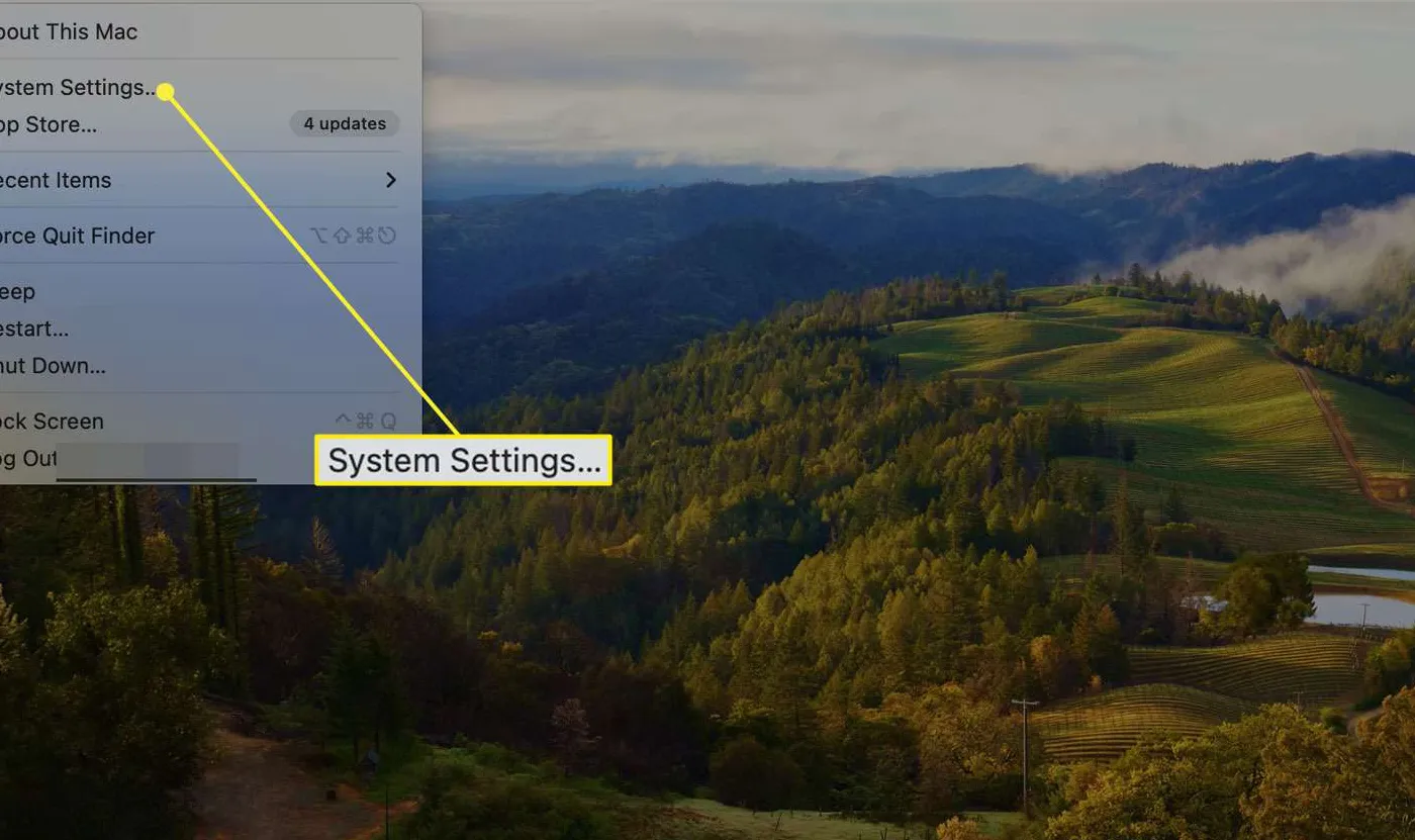 System Settings from the Apple menu in macOS.