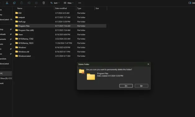 File deletion confirmation dialog in Windows File Explorer with Program Files folder.
